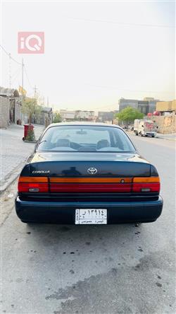 تويوتا كورولا